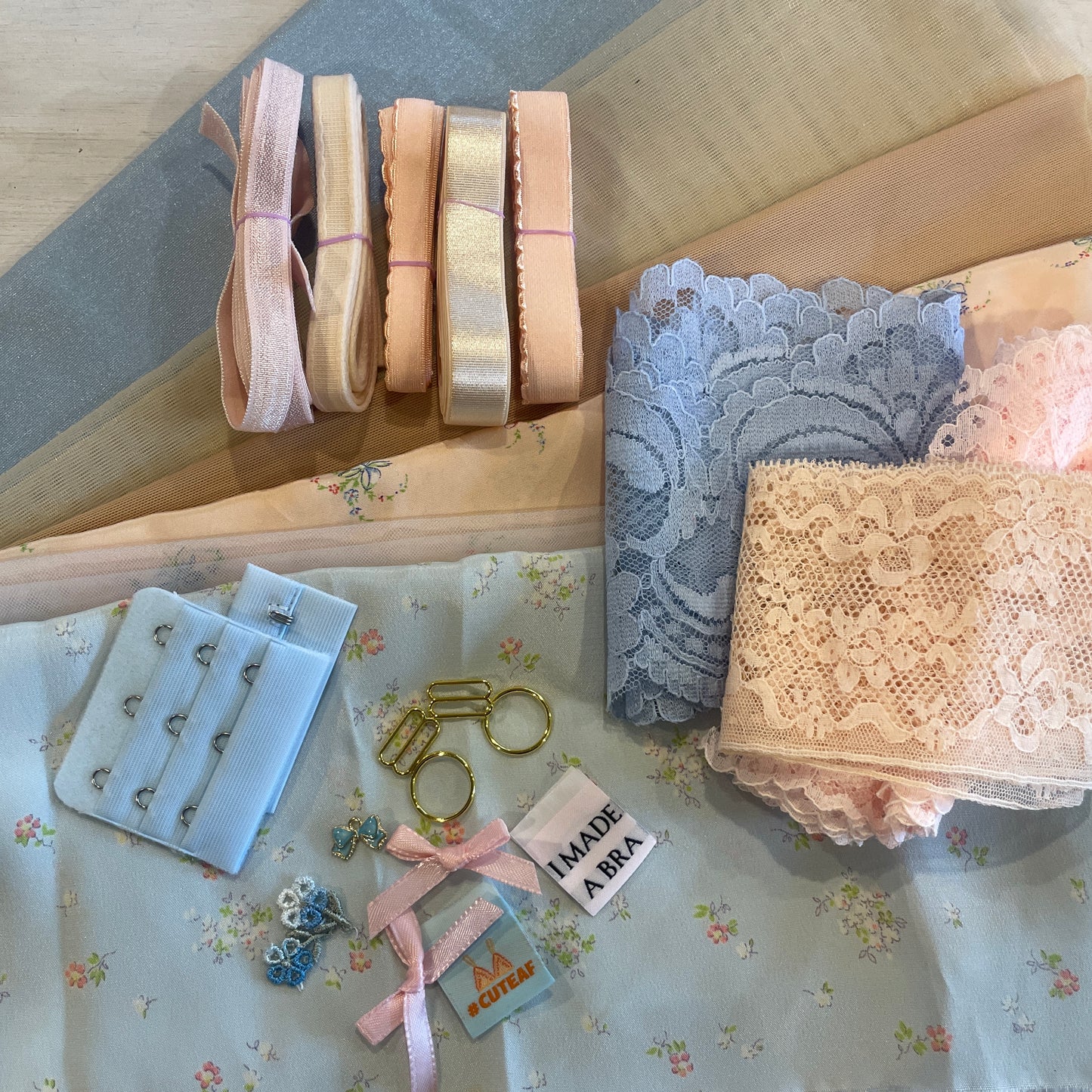 The lingerie society JUNE 26 subscription box one off purchase