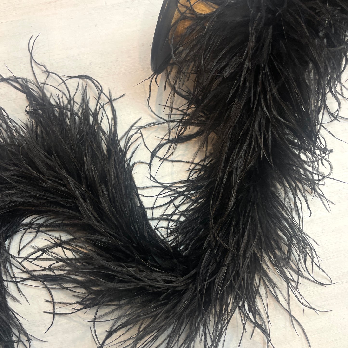 Black ostrich feather boa
