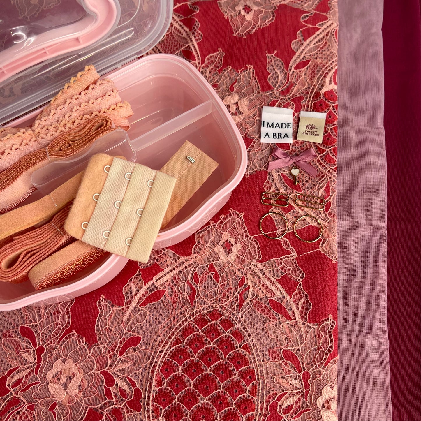 The Lingerie Society FEBRUARY 2024 Subscription Box