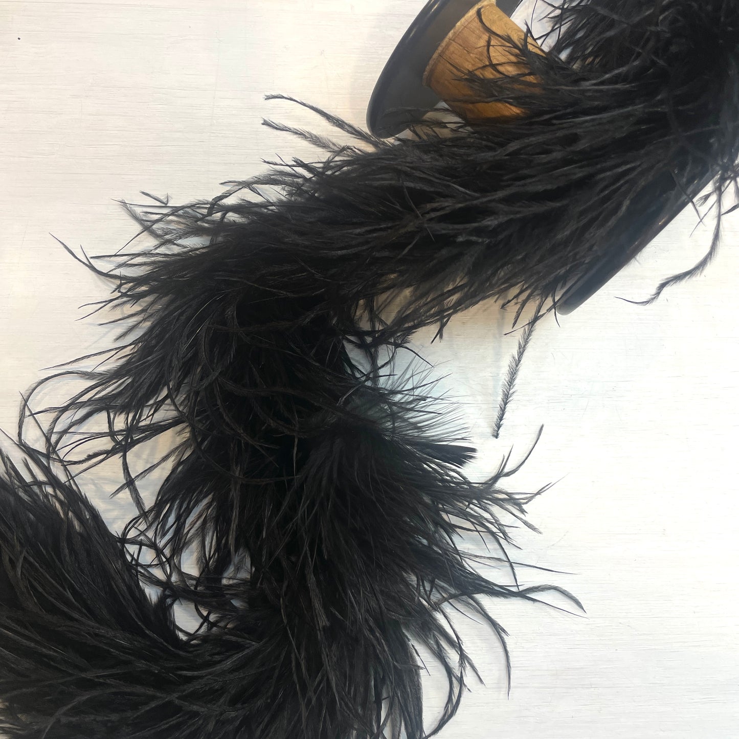 Black extra long ostrich feather boa