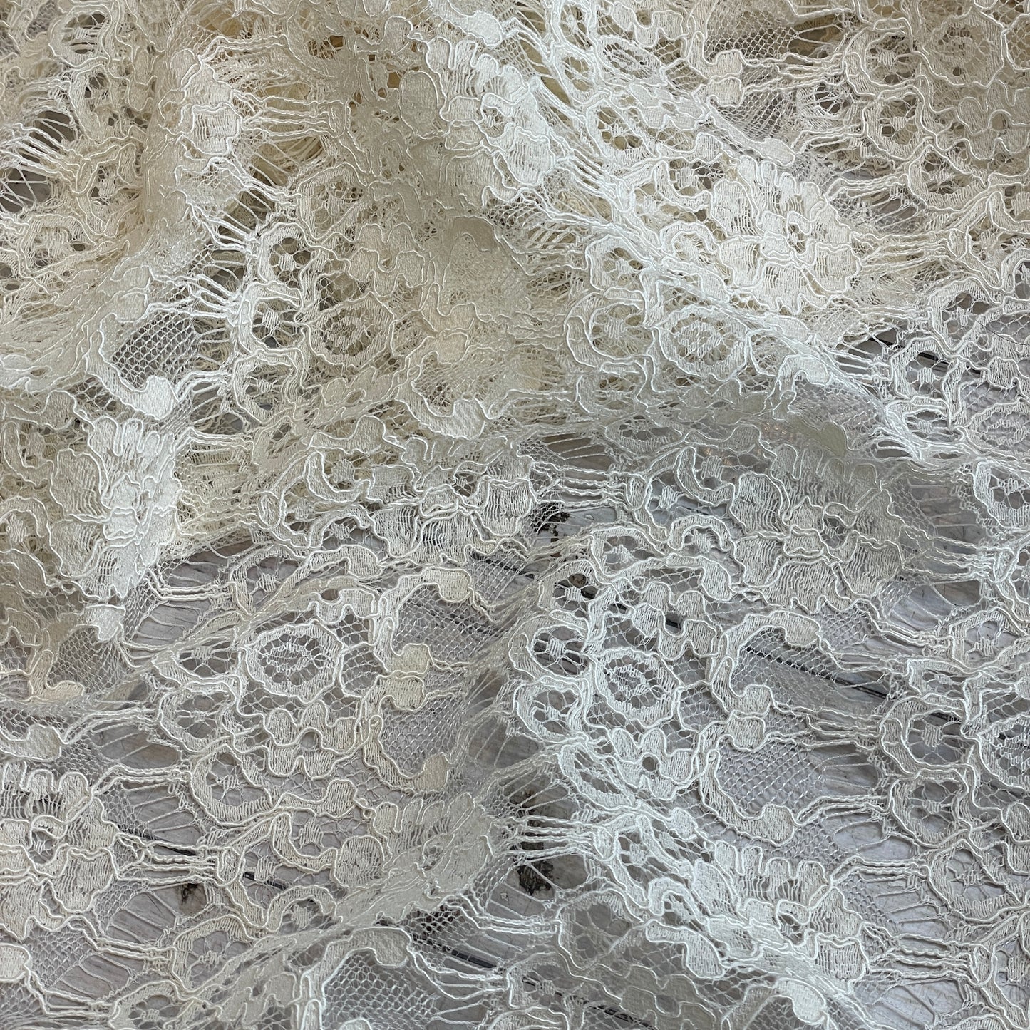 Valencia cream scallop lace