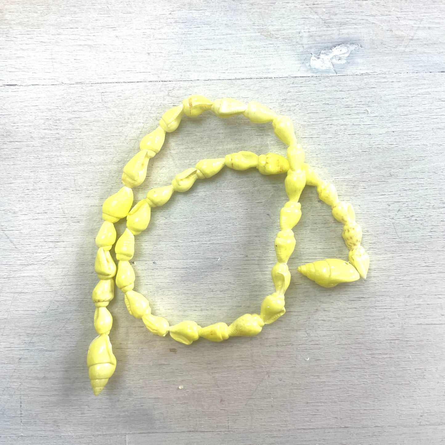 35cm Strand Of lemon Shells.
