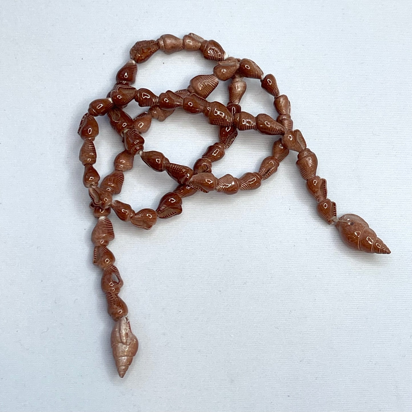 50cm Strand Of Connamon Shells.