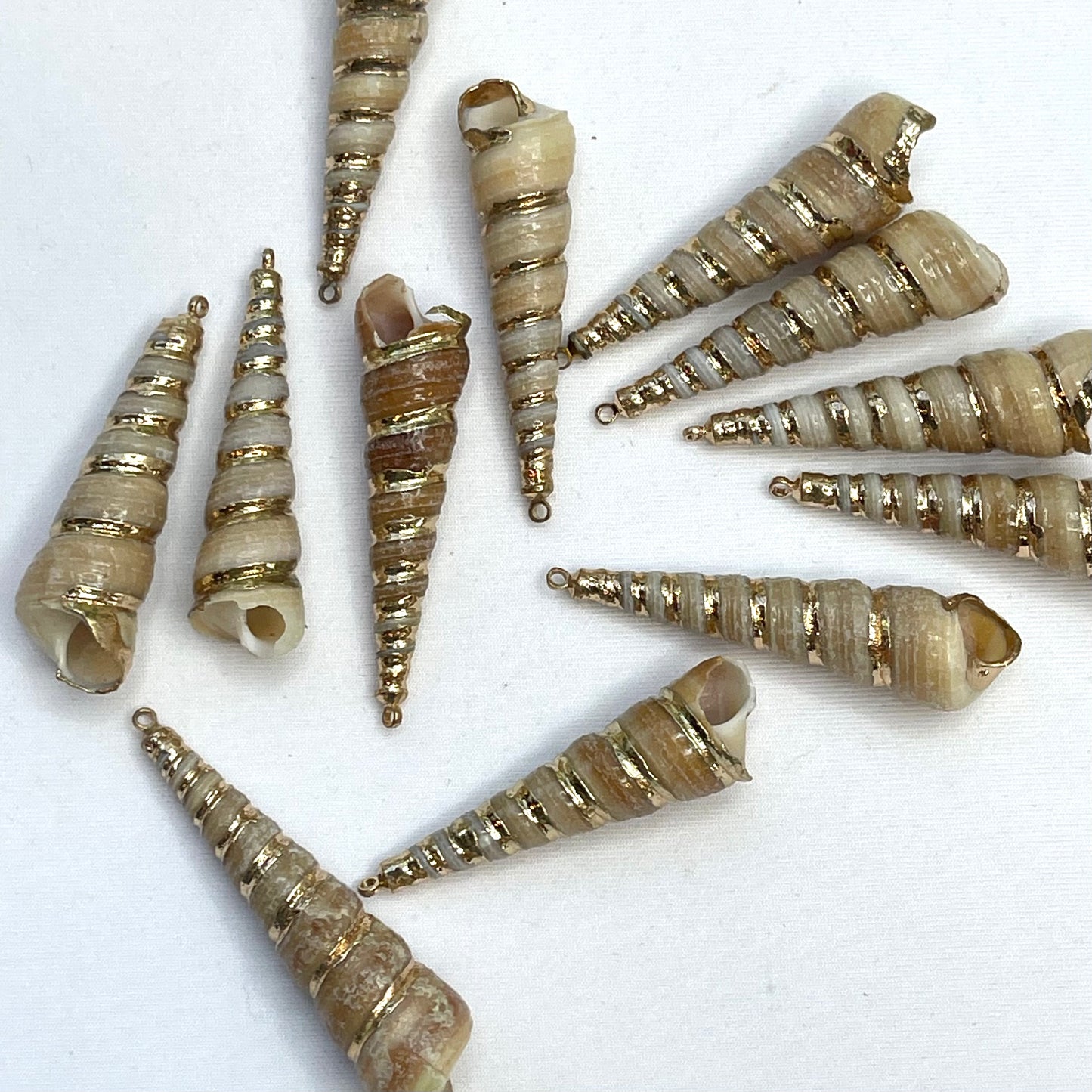 Natural Shell and Gold Charm Medium