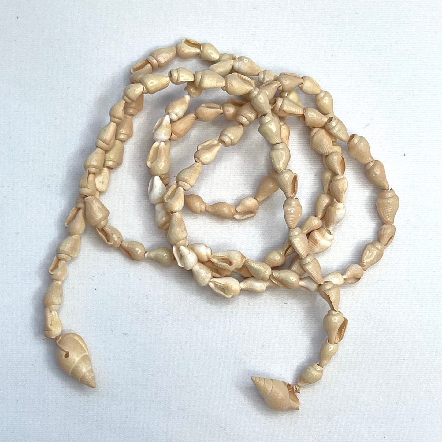 Imtr Strand Of Beige Shells.