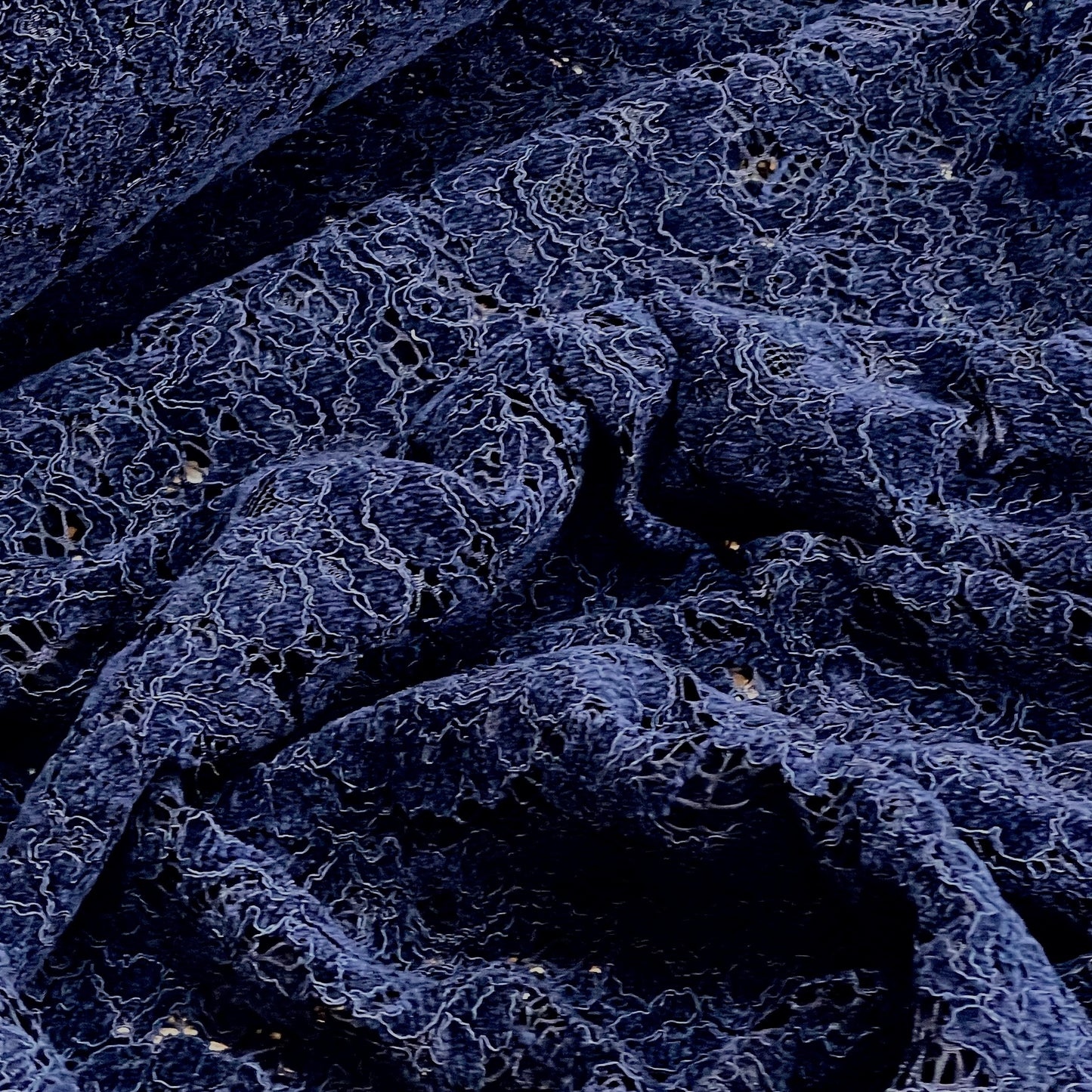 Nightscape flocked lace