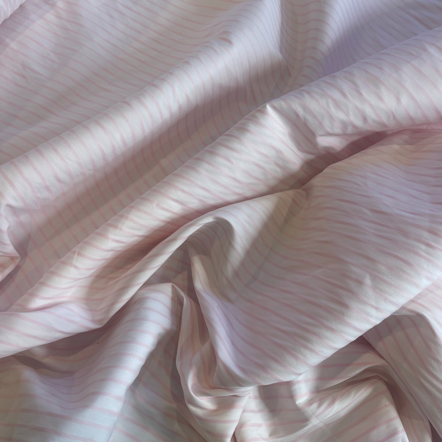 *SECOND perfect pink stripe Cotton Shirting
