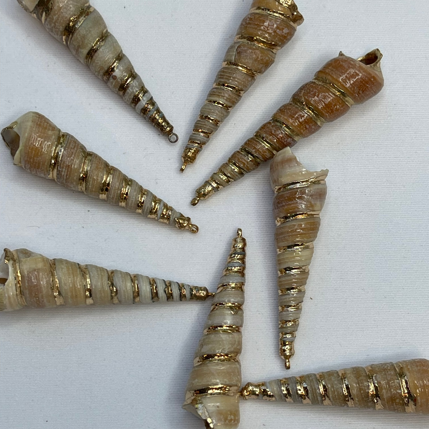 Natural Shell and Gold Charm Large