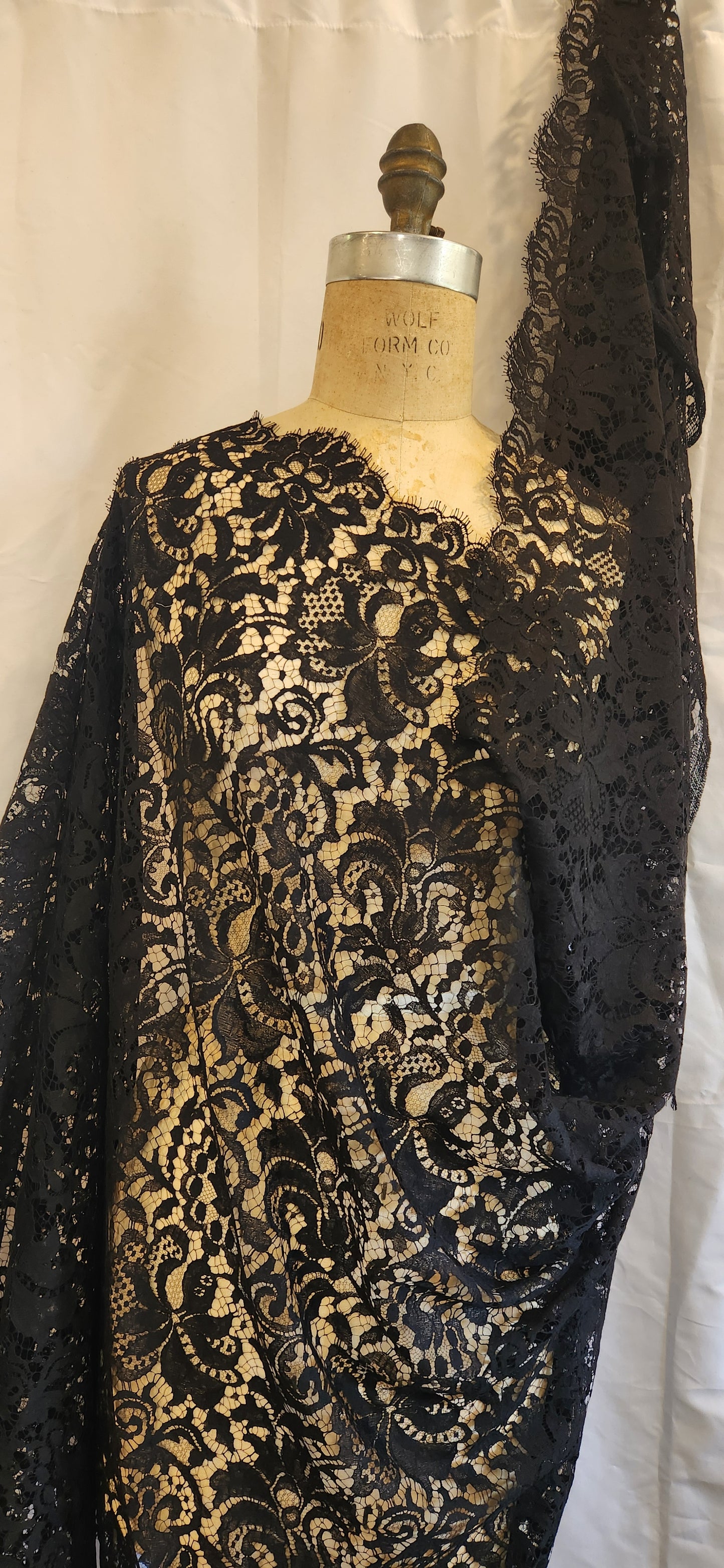Pippin black French chantilly lace