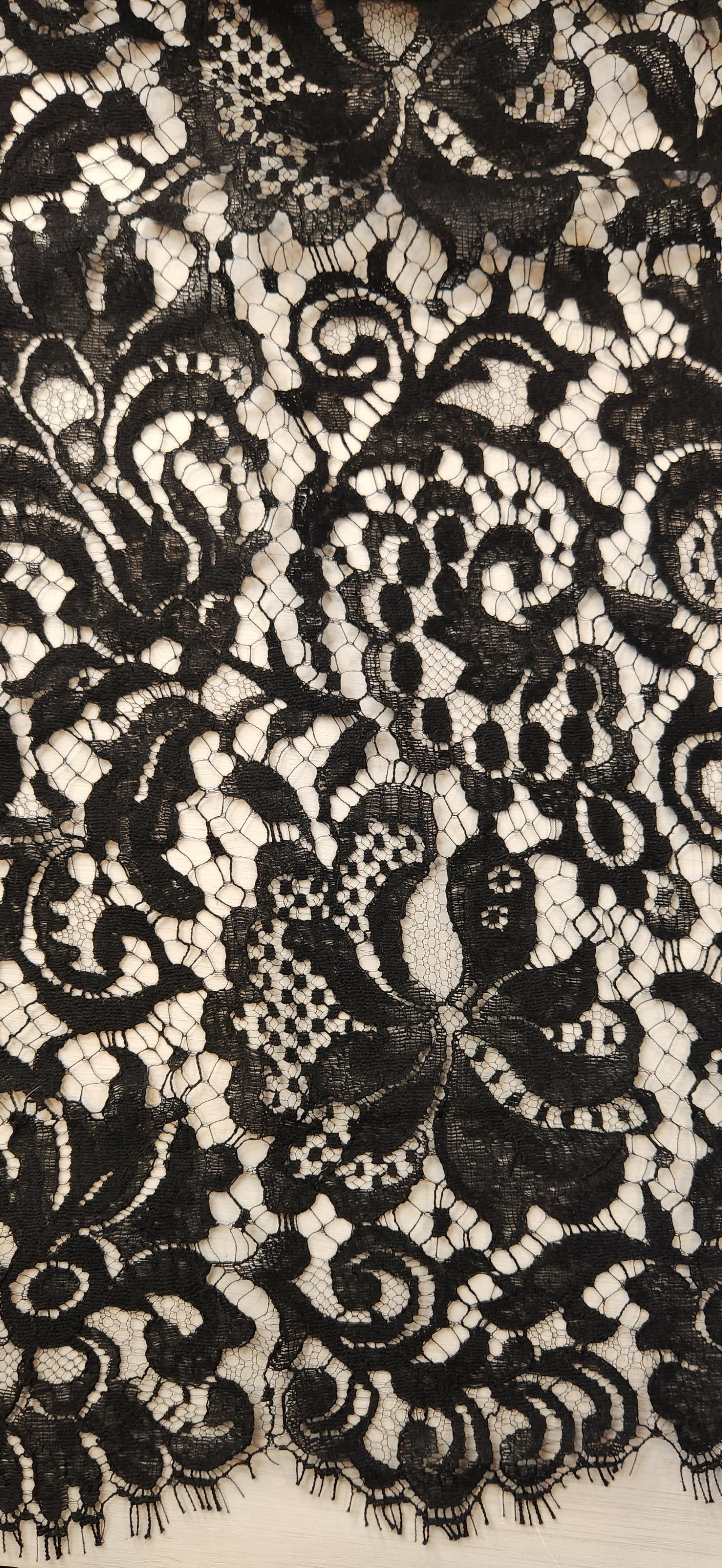 Pippin black French chantilly lace