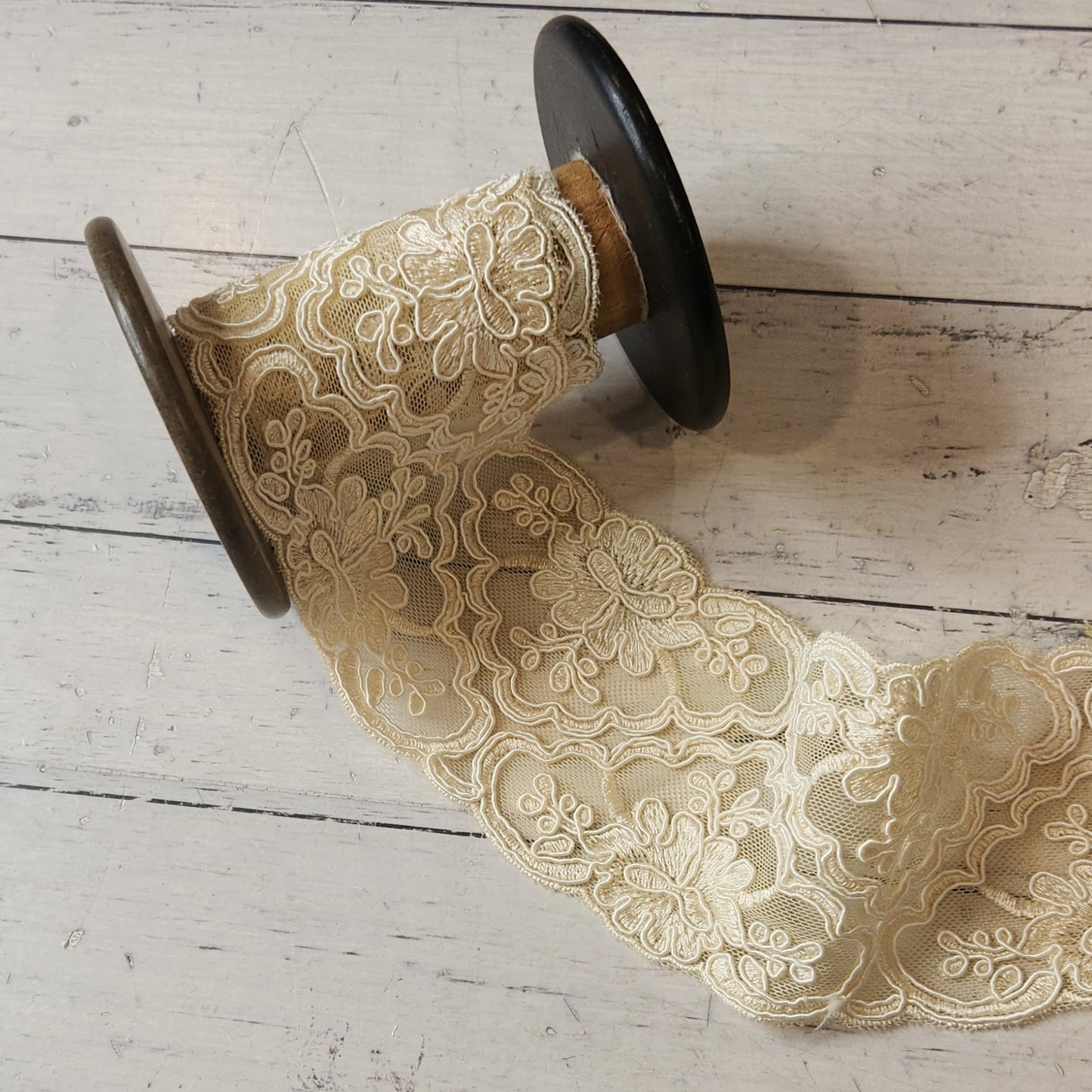 Martina corded lace Trim