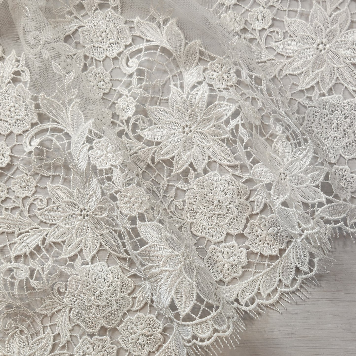 Laural ivory Corded mesh Lace