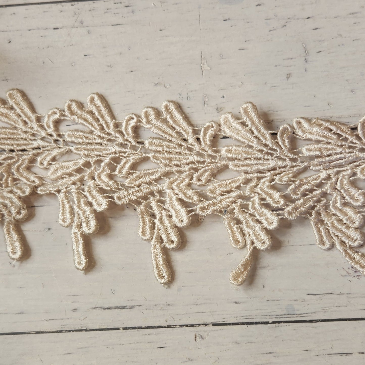 Palest pink coral Guipure Trim