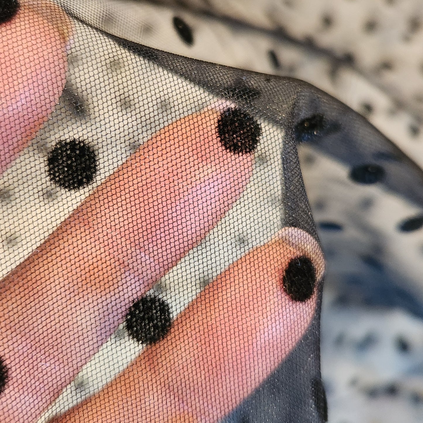 Louise Velvet spot tulle