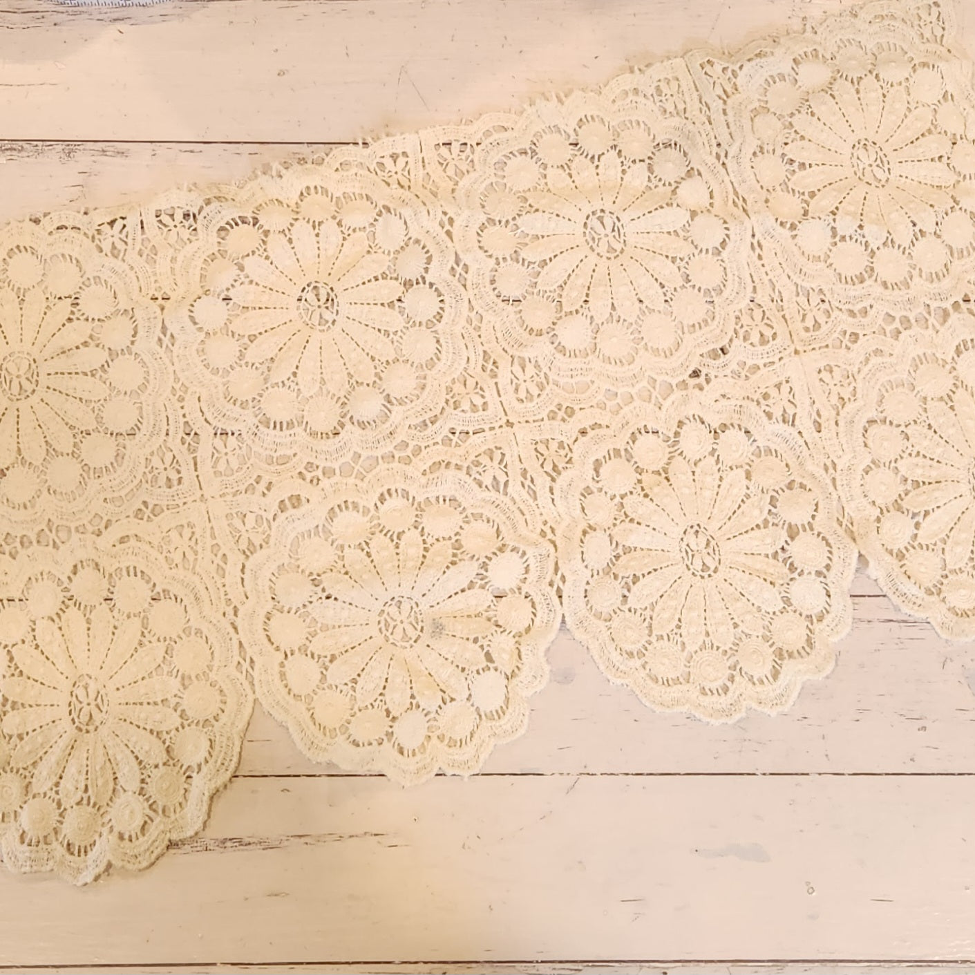 20. Cream cotton lace trim piece