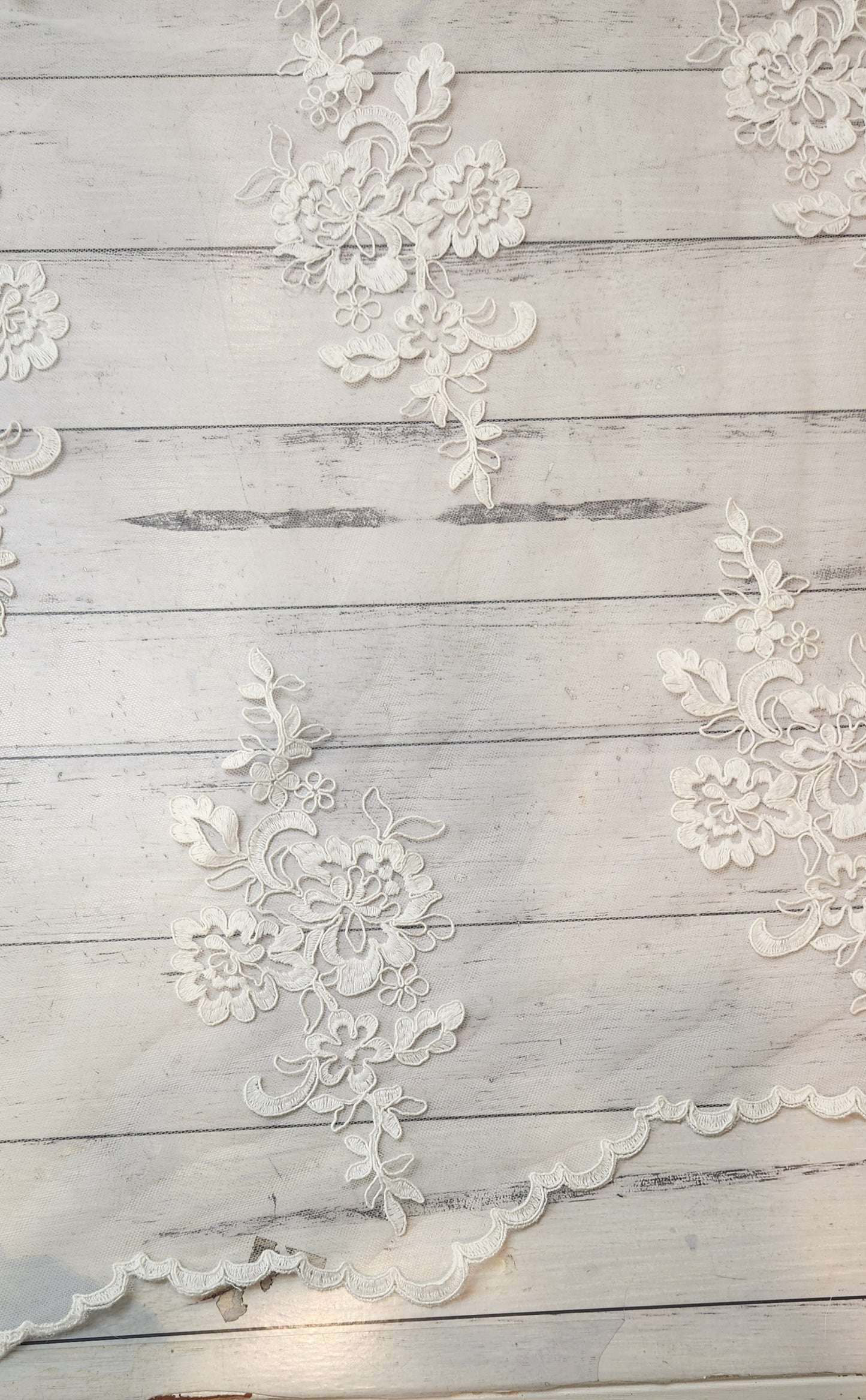 Isabel light ivory Corded mesh Lace