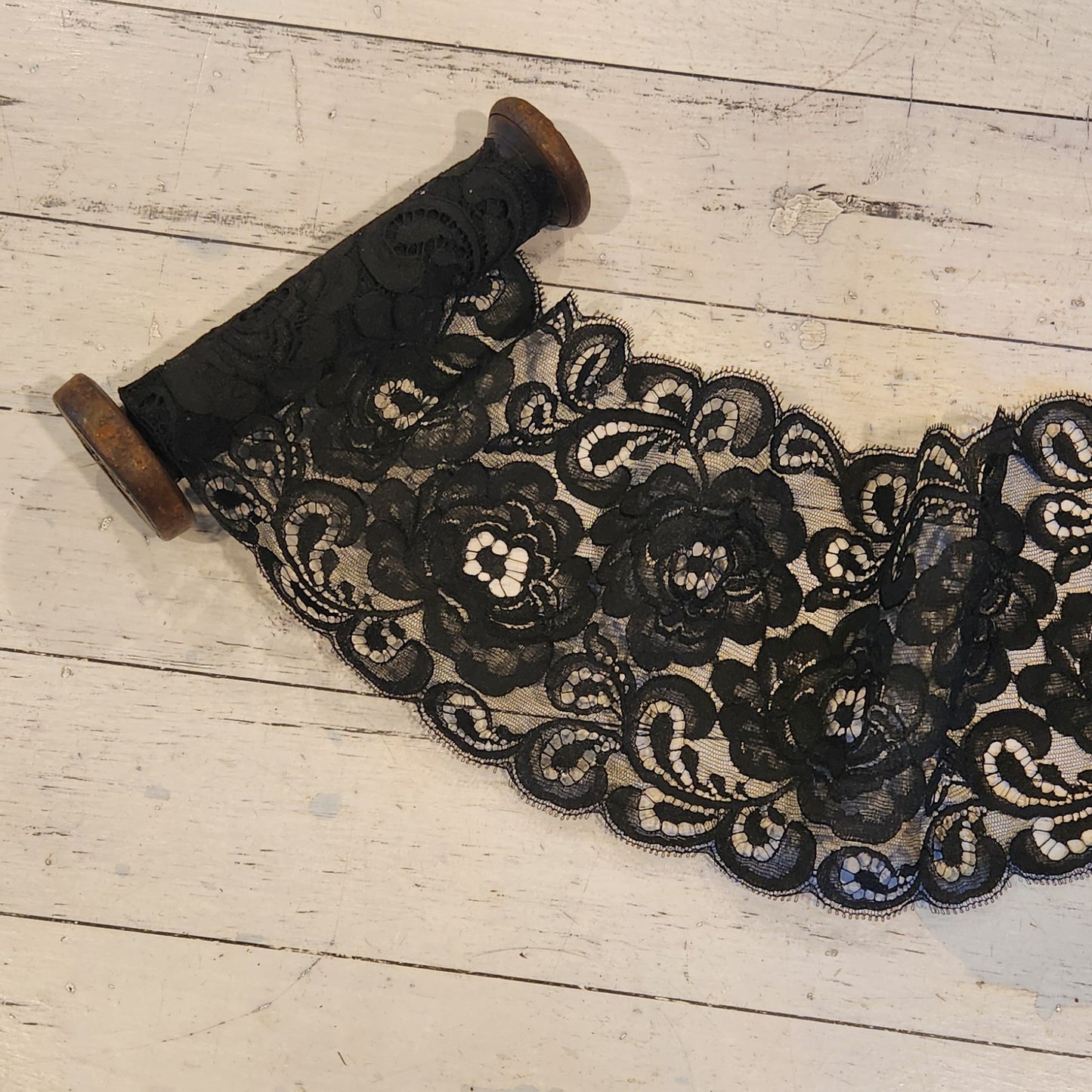 Shelly lace