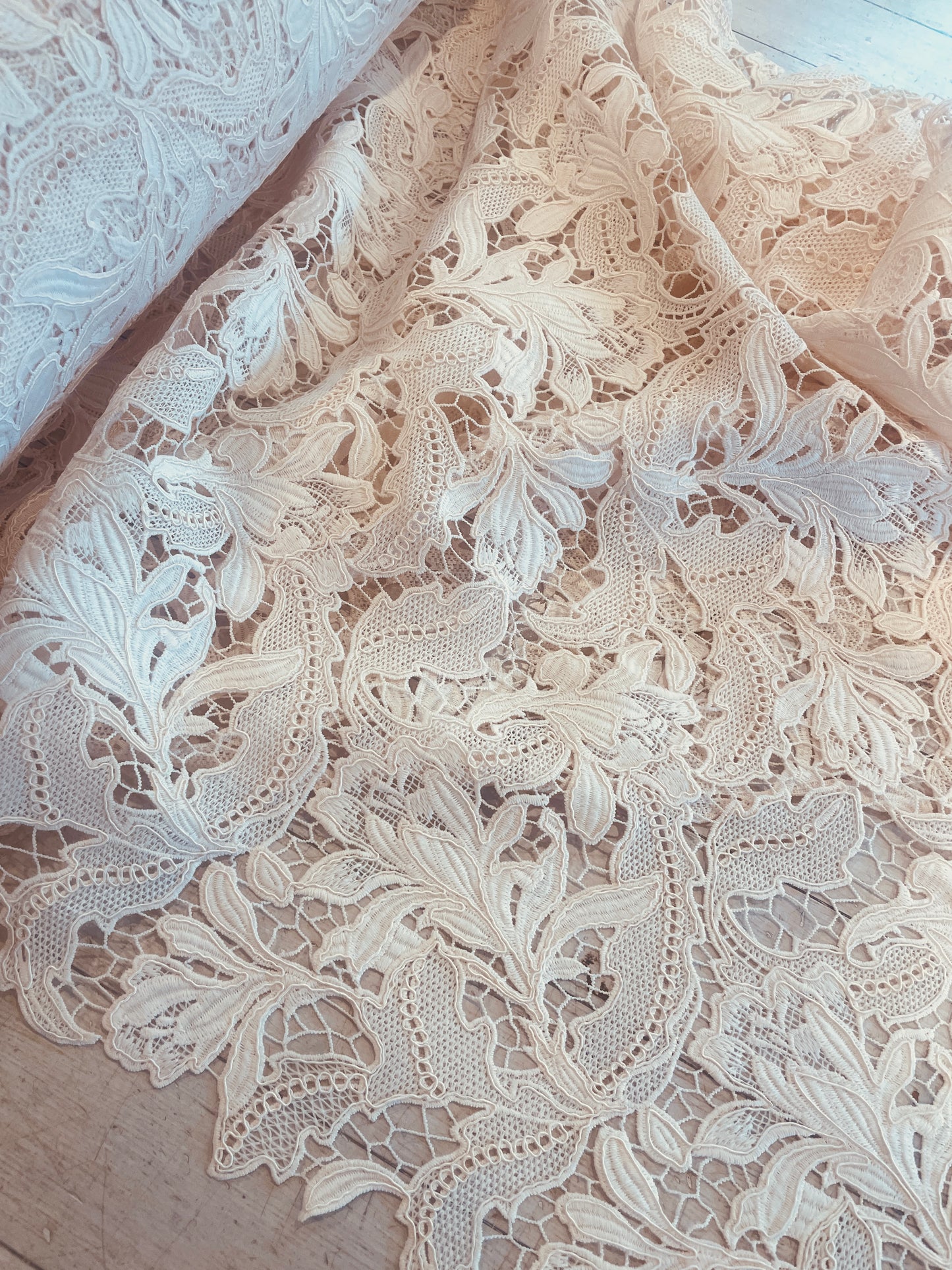 Layla blush Corded Lace