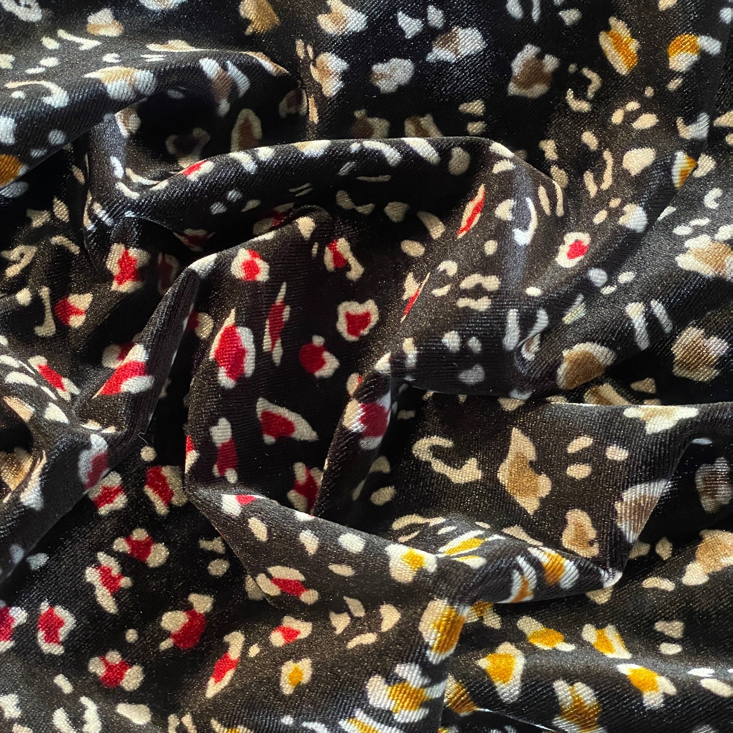 Jewel leopard stretch velvet