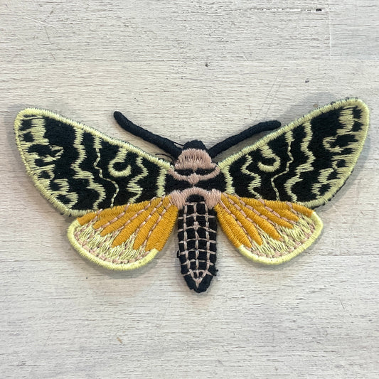 Beautiful moth Motif