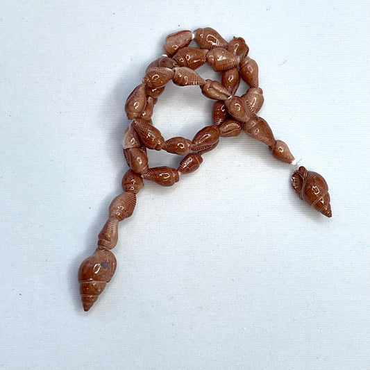 35cm Strand Of Cinnamon Shells.
