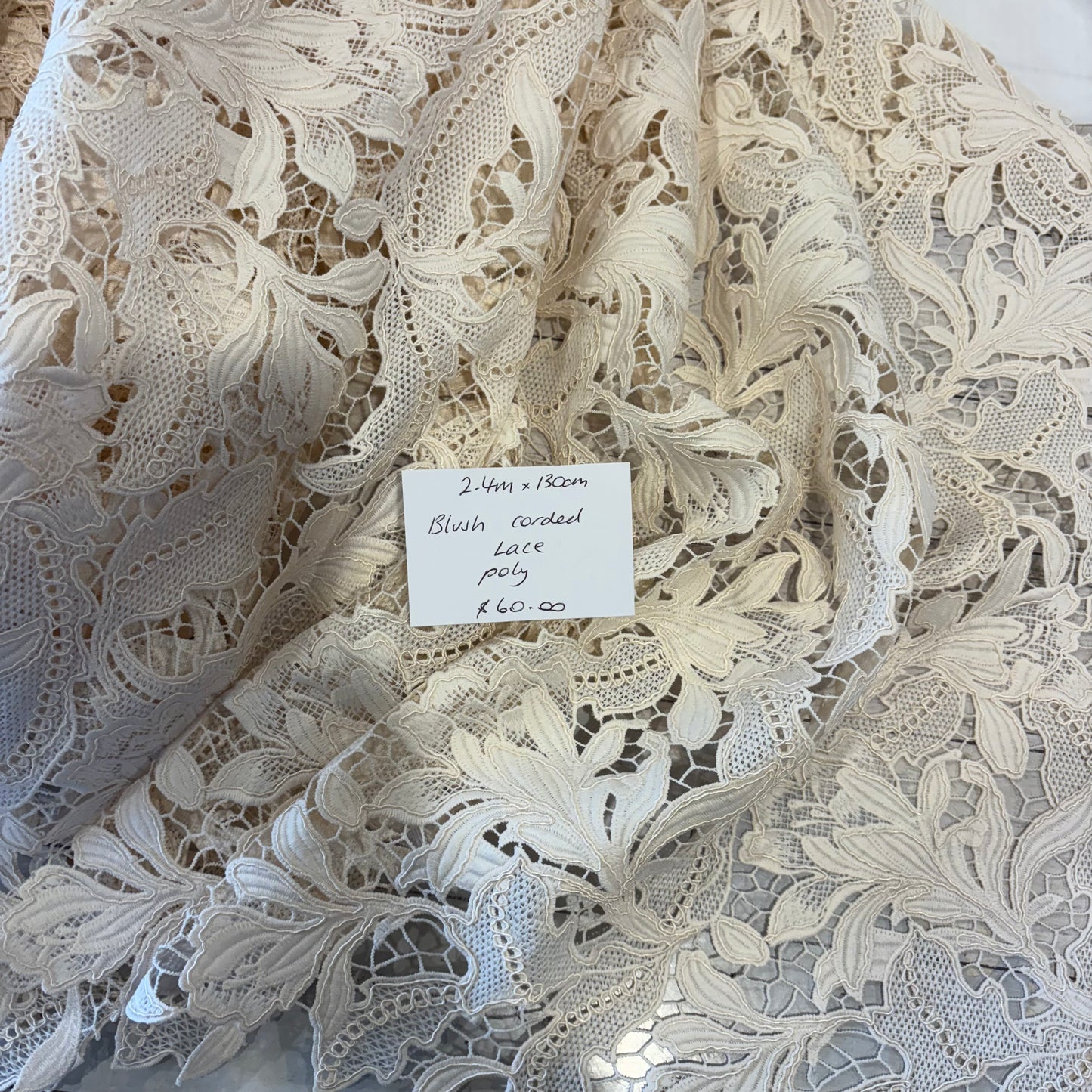 2.4m Blush Corded Lace