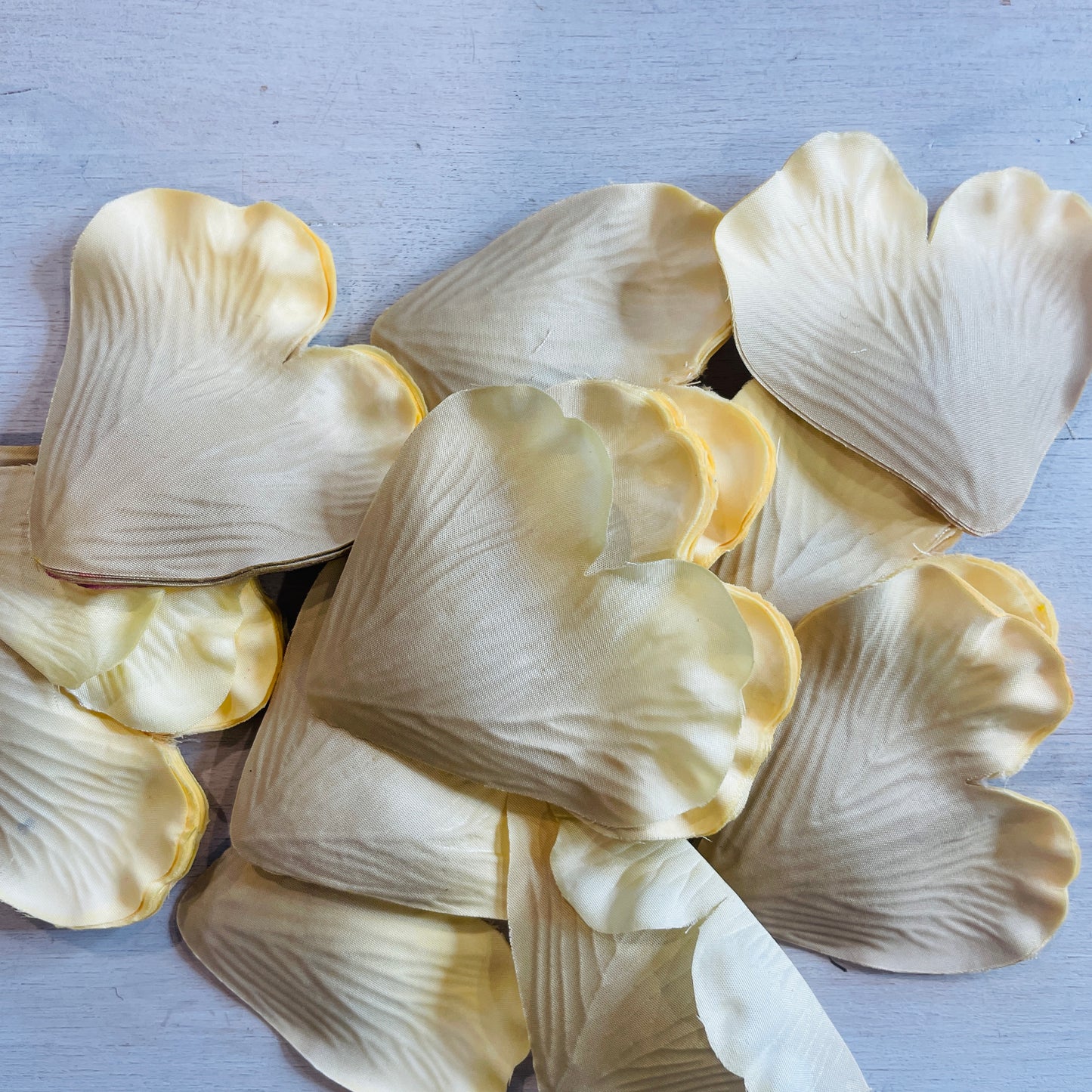 collection of pale gold flower petals