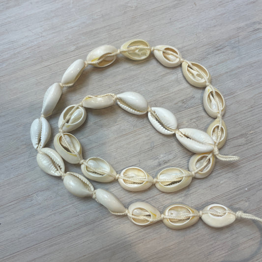 50cm Strand Of natural Shells.
