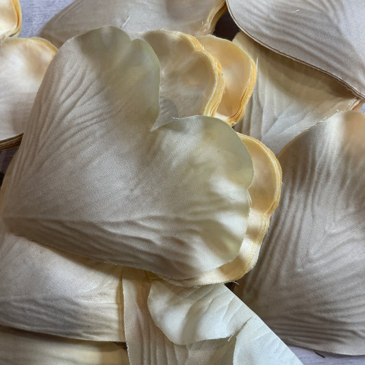collection of pale gold flower petals