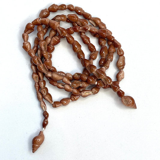 1mtr  Strand Of Cinnamon Shells.