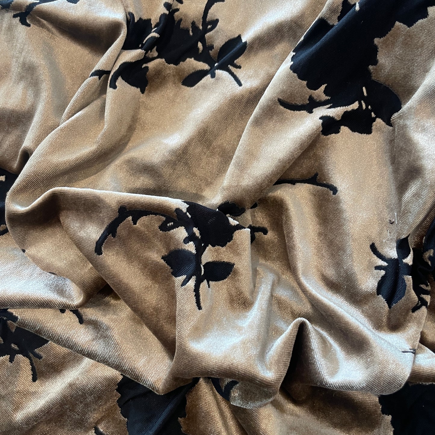 2m mocha burnout velvet