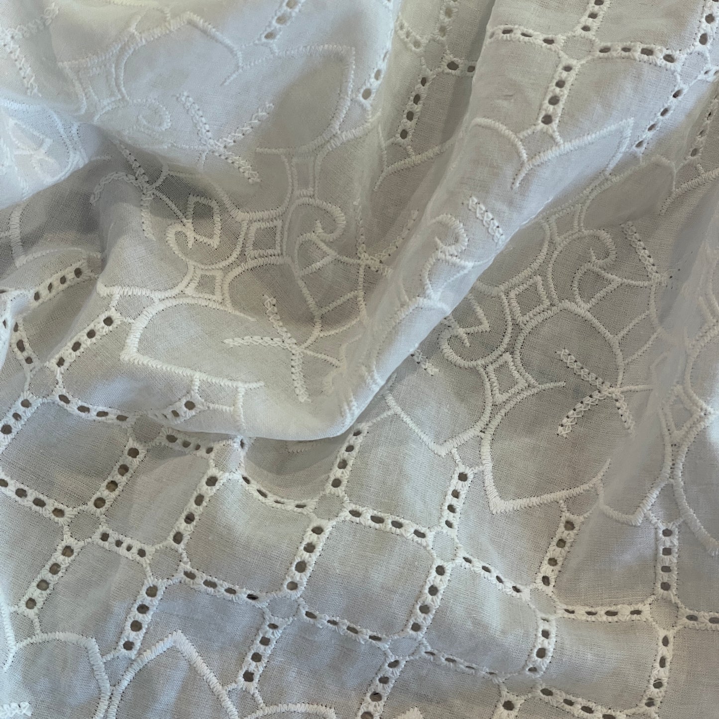 Trailing vine embroidered cut out cotton voile