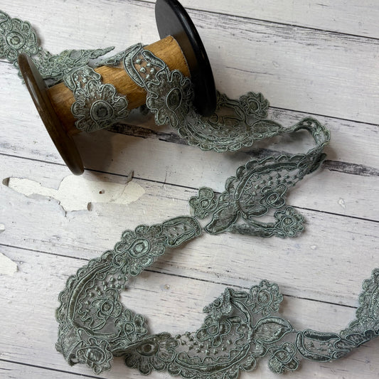 Eucalyptus Vine Trim