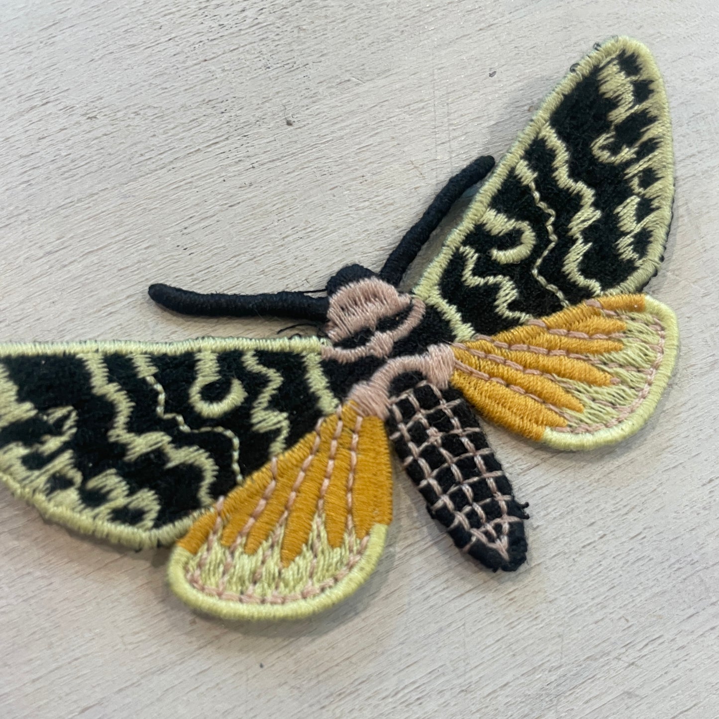 Beautiful moth Motif