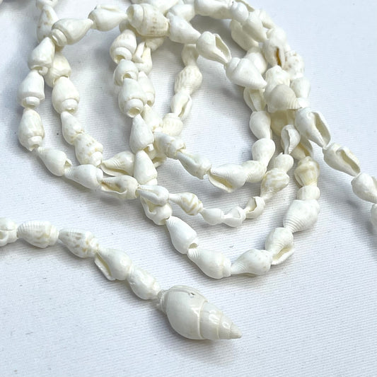 1mtrs Strand Of Ivory Shells.