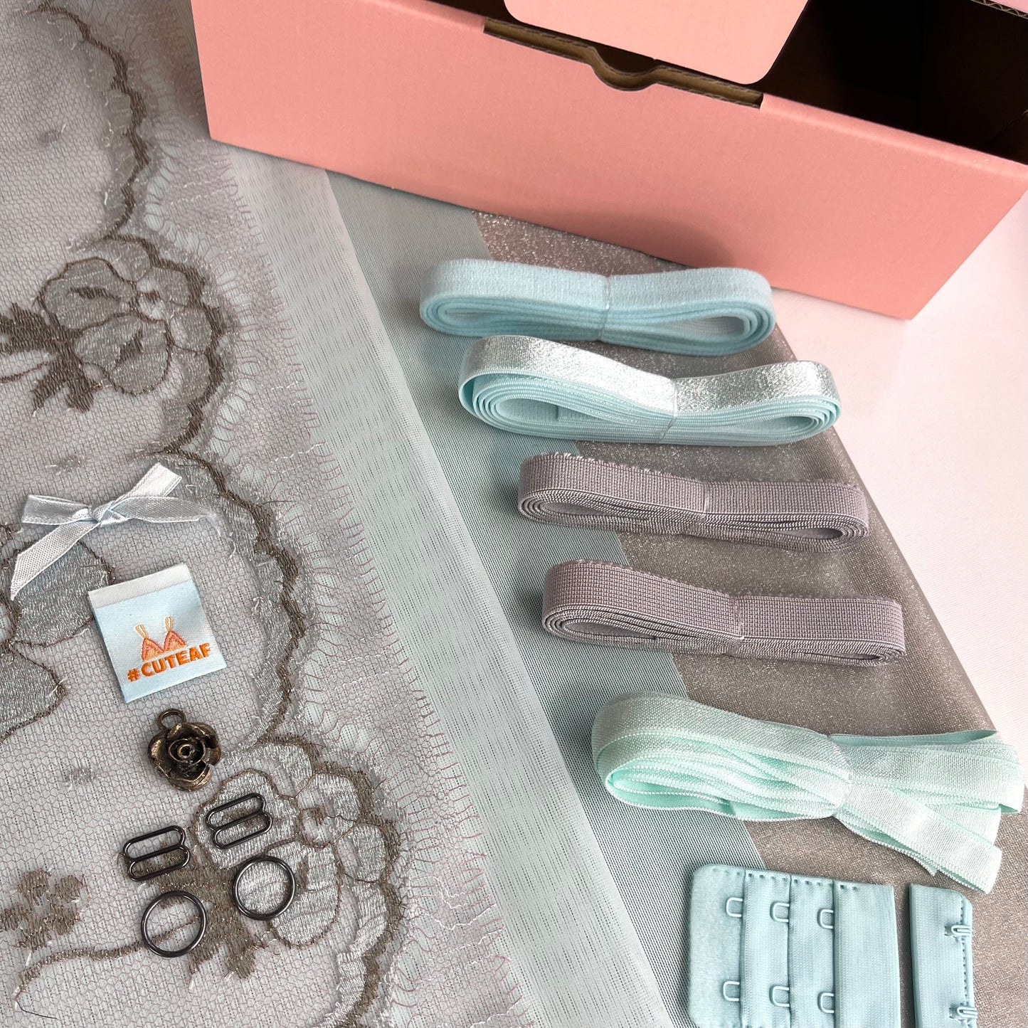 The Lingerie Society JUNE 2024 Subscription Box