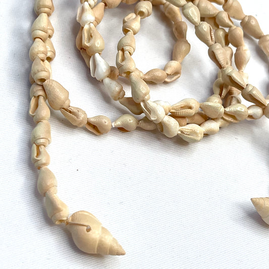 Imtr Strand Of Beige Shells.