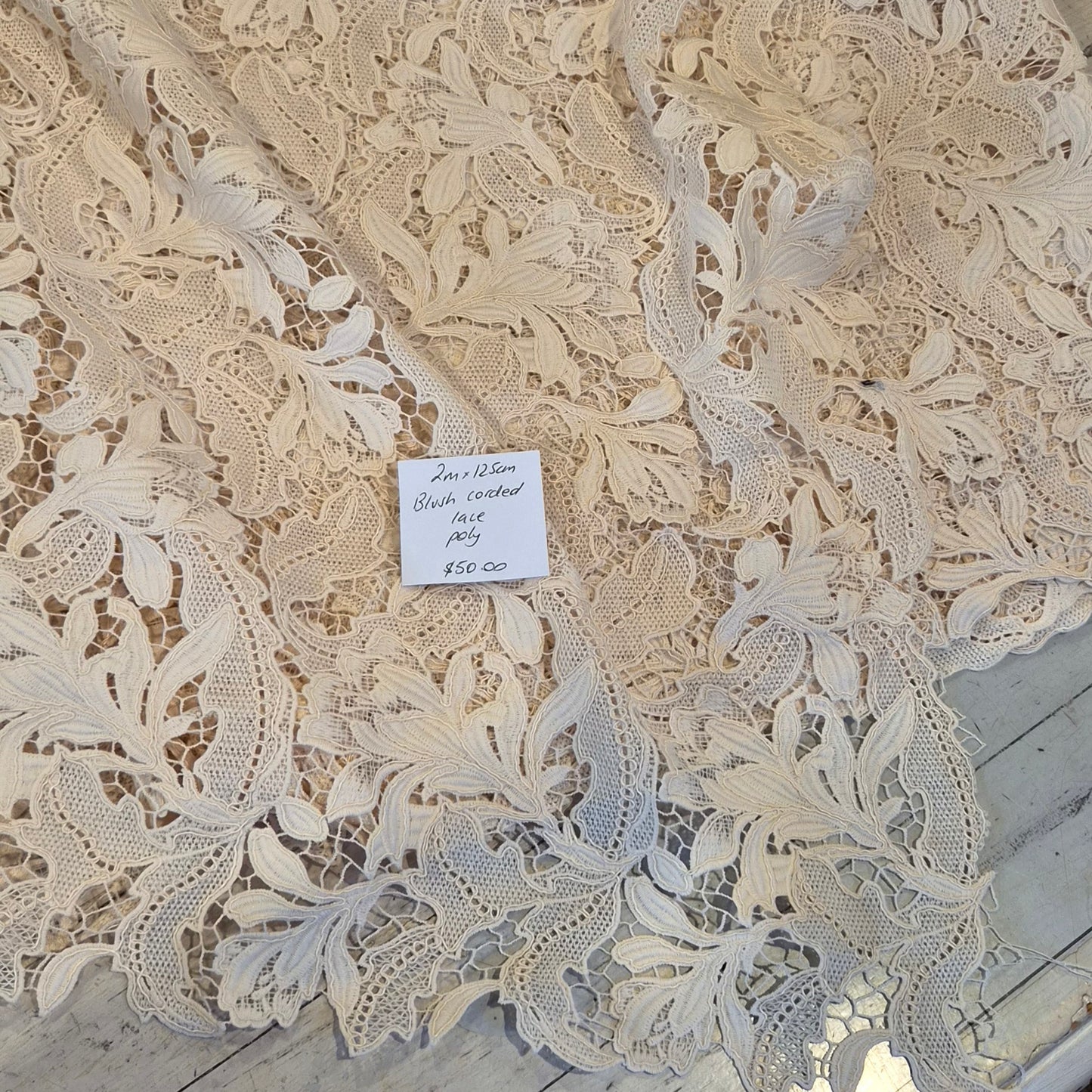2m Blush corded lace