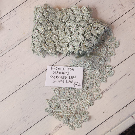 1.6m Diamante encrusted leaf guipure