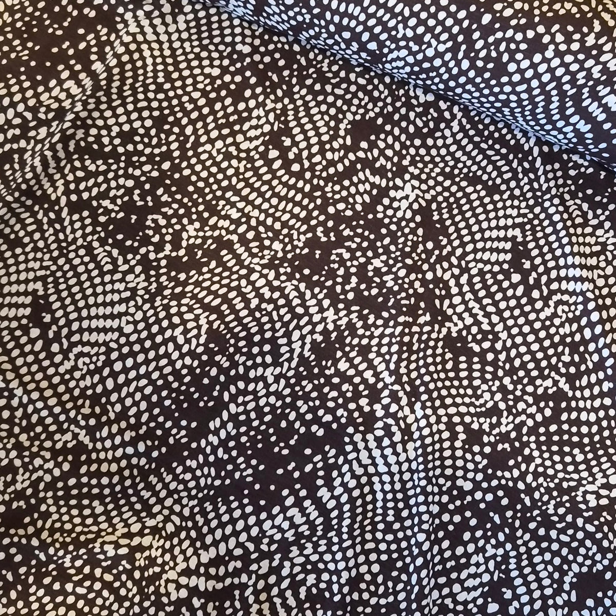 Dappled light brown Jersey