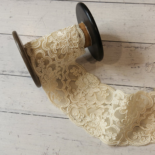 Martina corded lace Trim