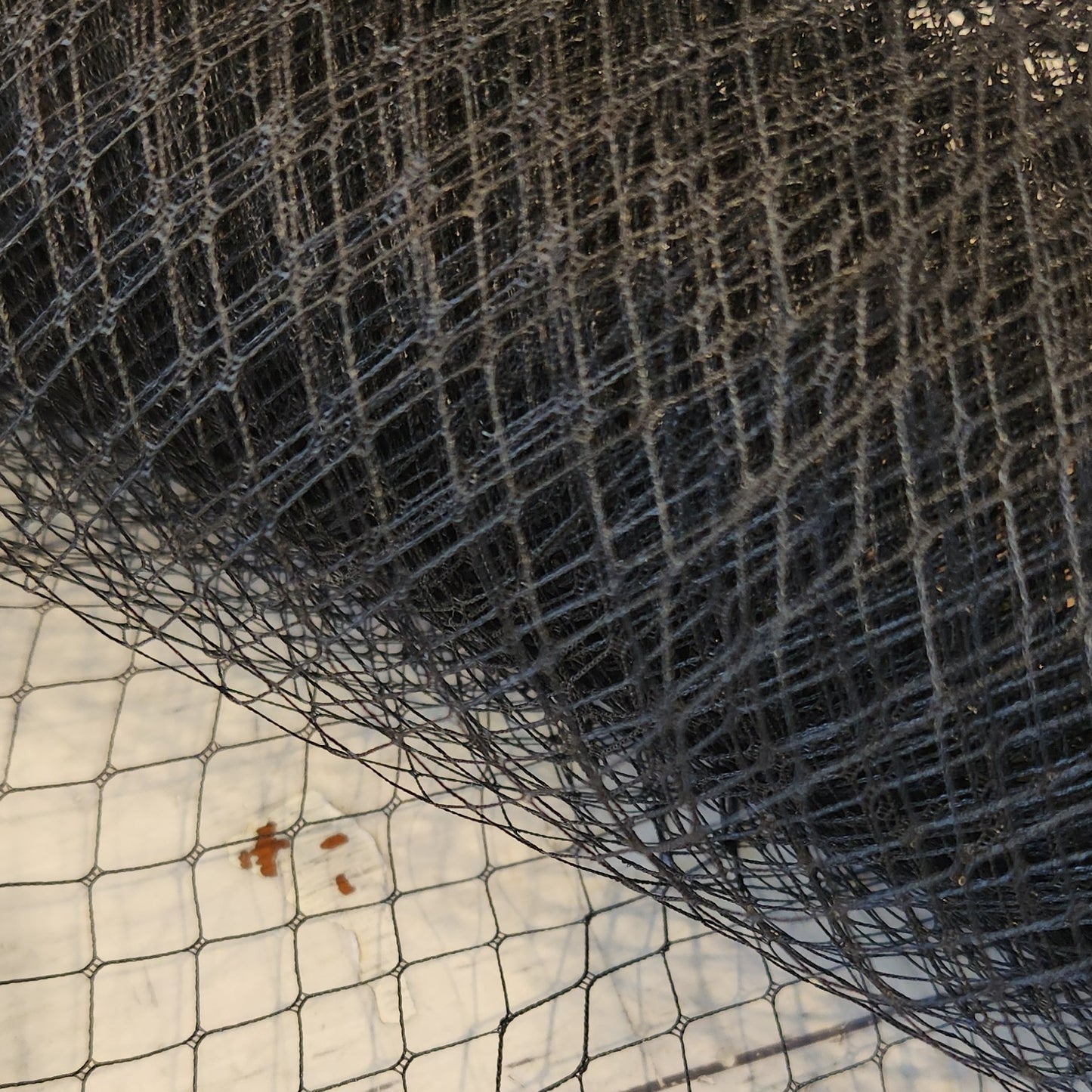 Black diamond hat and veil netting