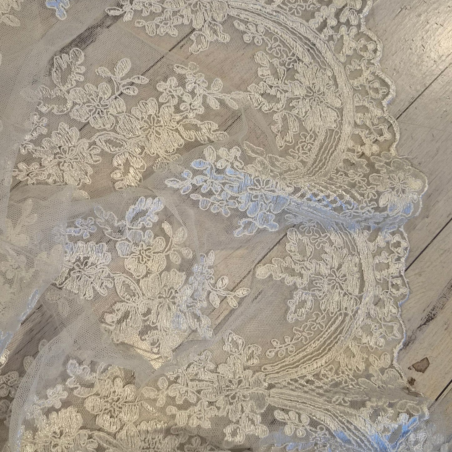1.25m ivory Corded lace