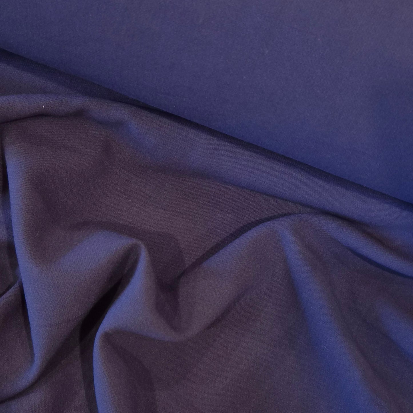 Palm Royale stretch suiting