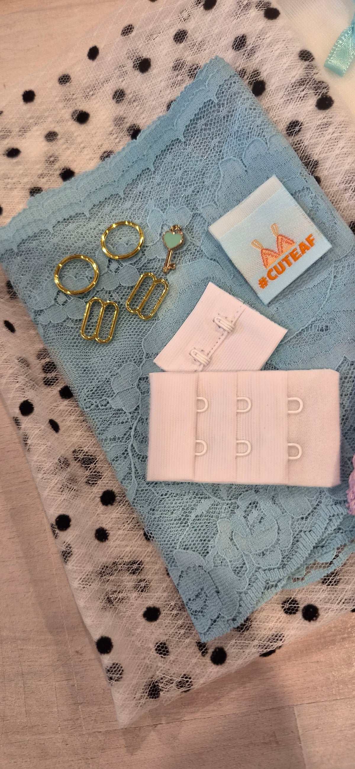 The lingerie society February 2025 subscription box one off purchase