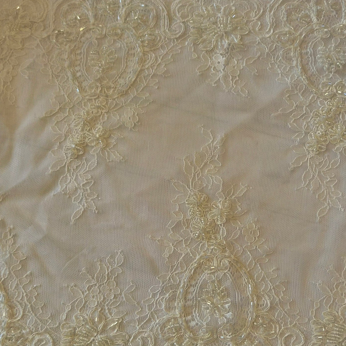 3.10m scalloped edged corded lace