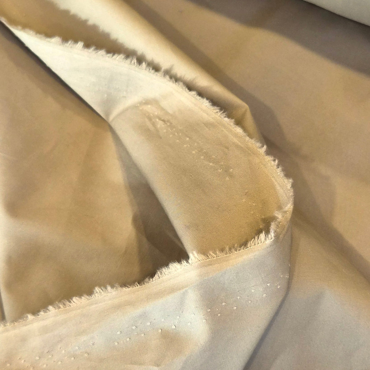 Pale olive stretch poplin