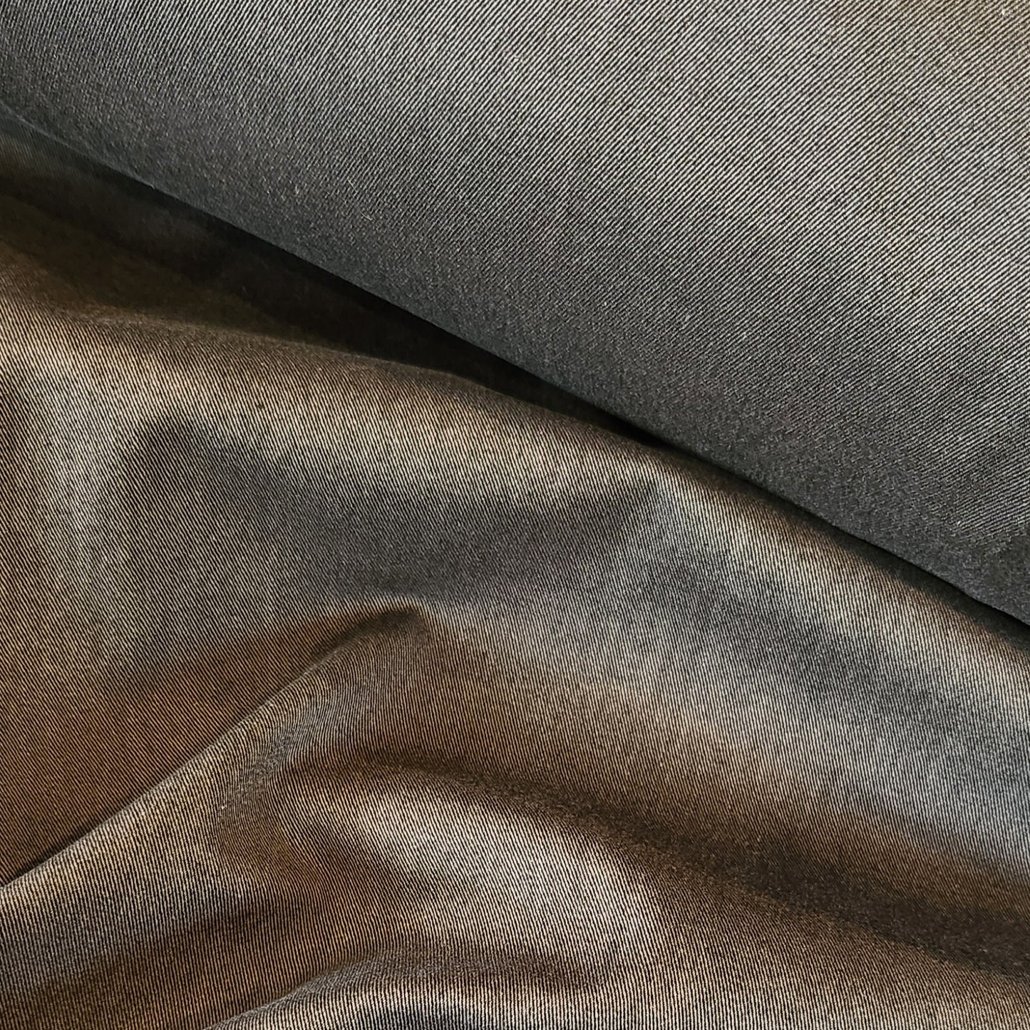 Storm grey Bengaline