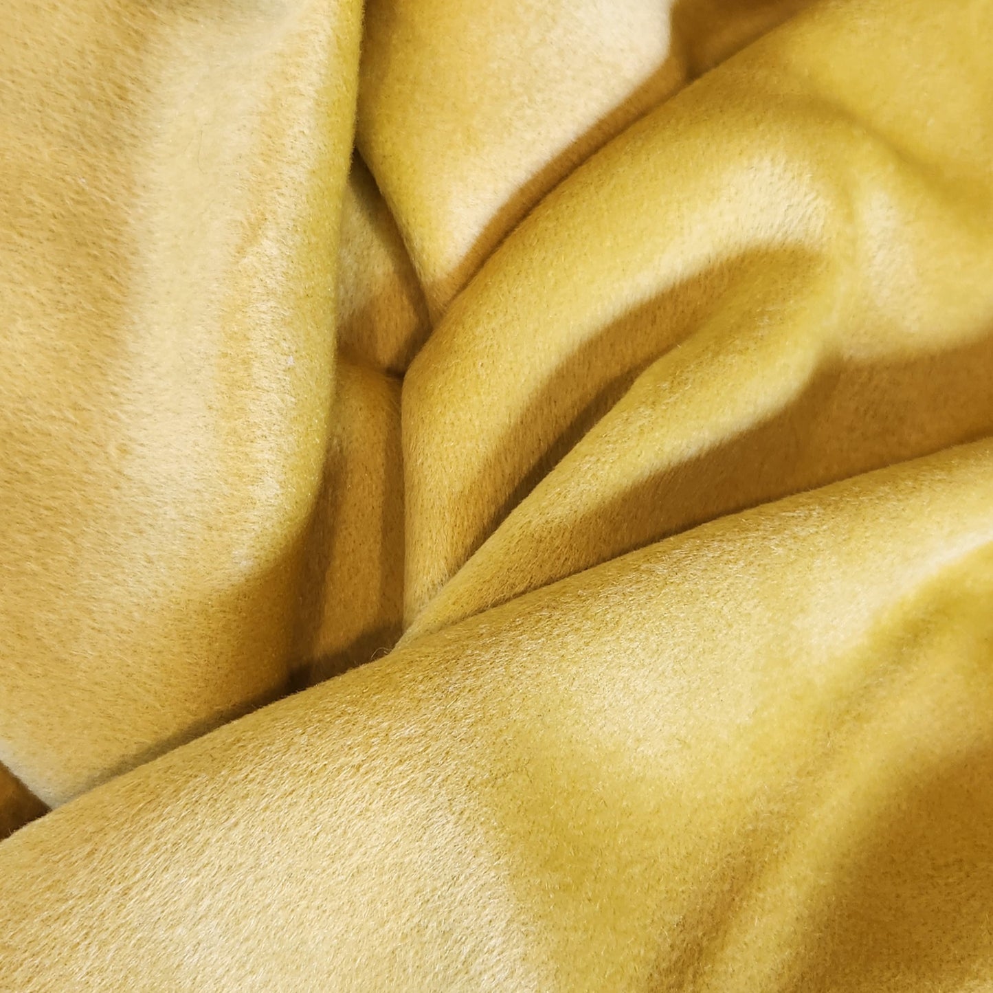 1m Lemon pie coating