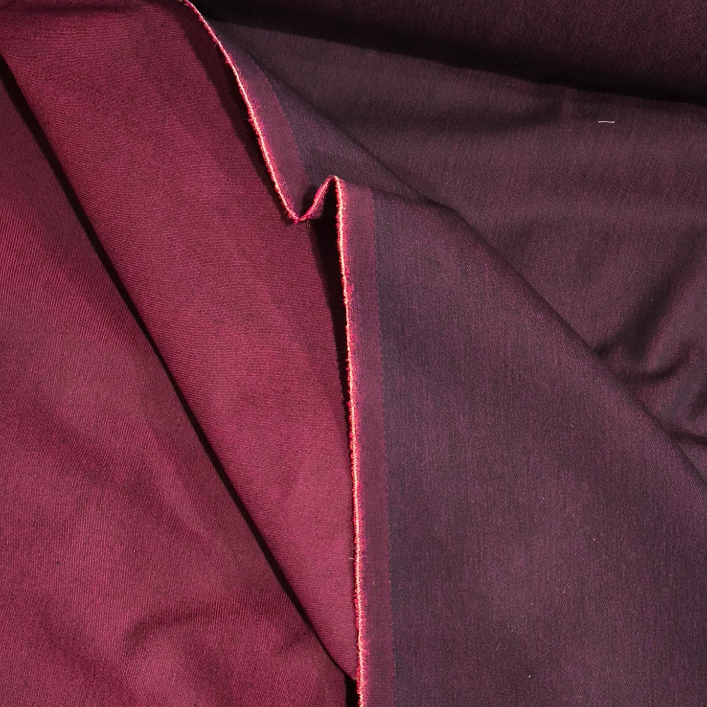 Purple parade bengaline